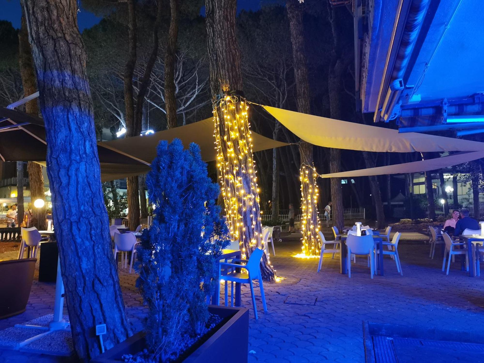 Hotel Pine Beach Rosolina Mare Eksteriør billede